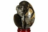 Septarian Dragon Egg Geode - Barite Crystals #143159-2